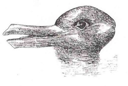 Duck or a rabbit